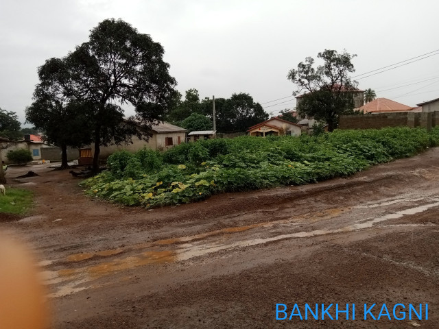 Terrain à Kassonyah, Autres Immobiliers, Conakry