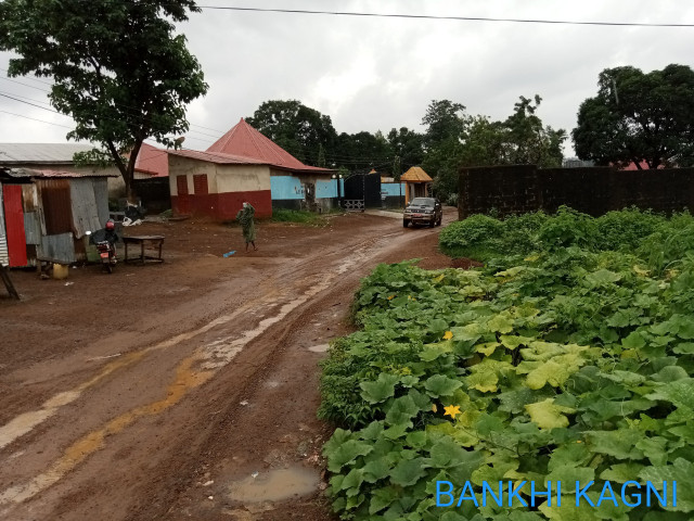 Terrain à Kassonyah, Autres Immobiliers, Conakry