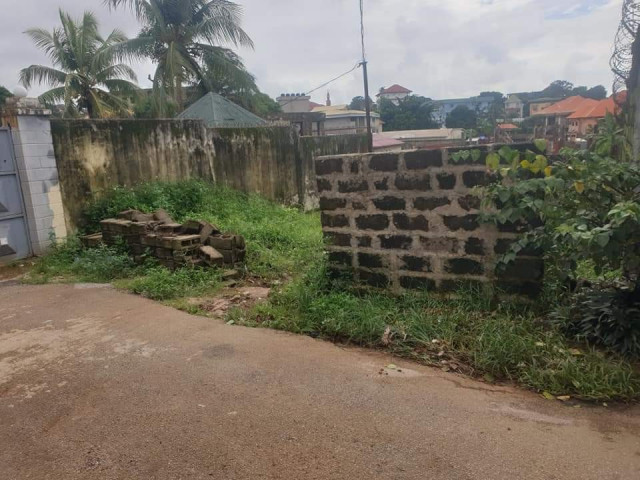 Terrain à Nongo, Terrains, Conakry