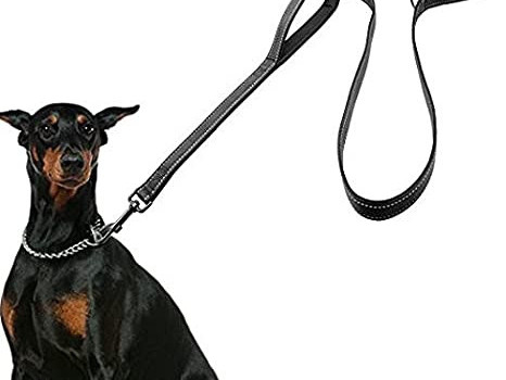 Différentes Laisses pour Chien, Commerces à Vendre, Conakry