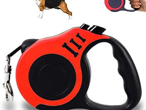 Différentes Laisses pour Chien, Commerces à Vendre, Conakry