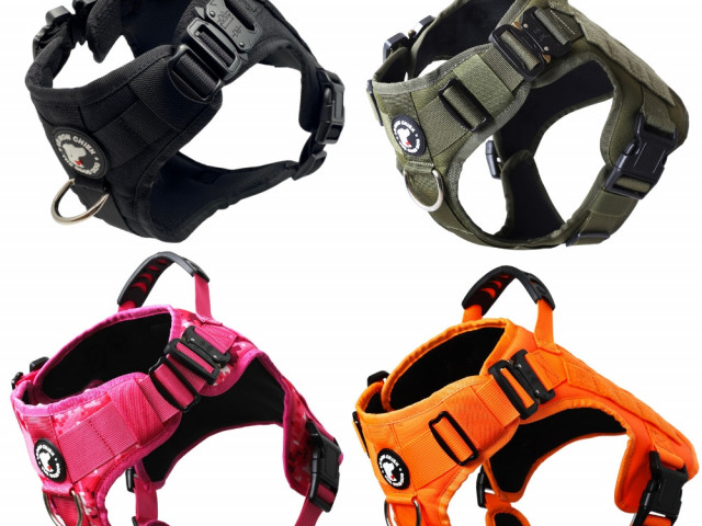 Différentes Laisses pour Chien, Commerces à Vendre, Conakry