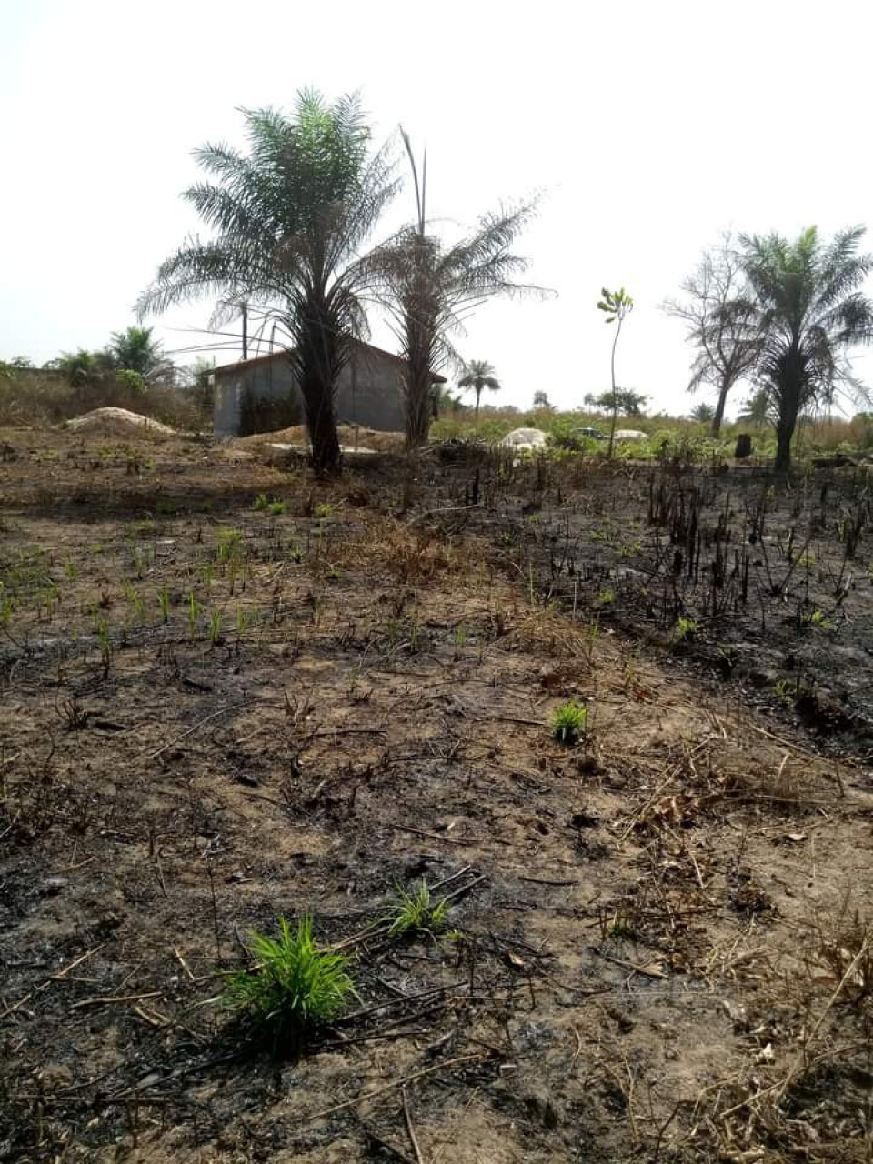 Parcelle à Conakry, Autres Immobiliers, Conakry