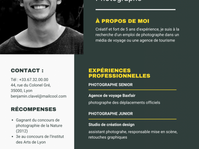 CV Professionnel, Services aux Entreprises, Conakry