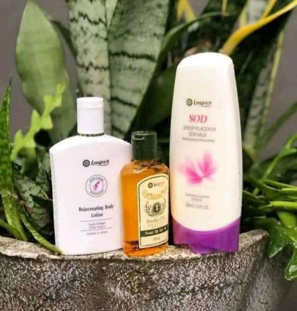 Lait de Corp, Parfumerie - Cosmétique, Conakry