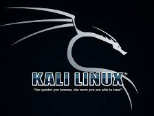 Système d'exploitation Kali Linux 64Bits, Cours - Formations, Conakry