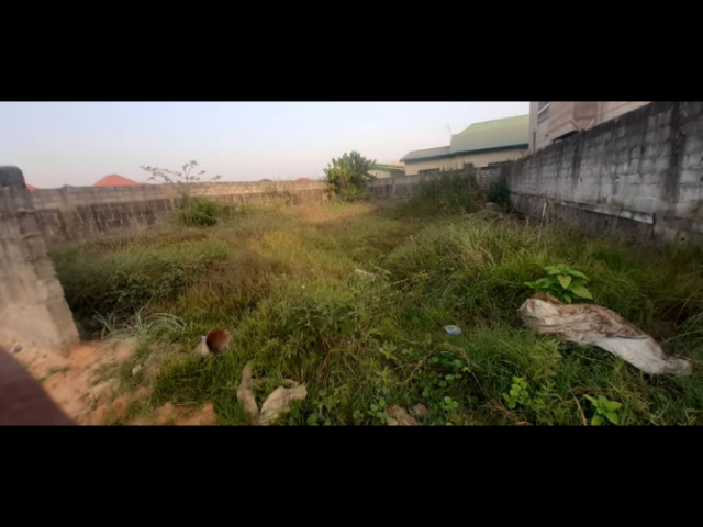 Terrain à Sonfonia, Terrains, Conakry