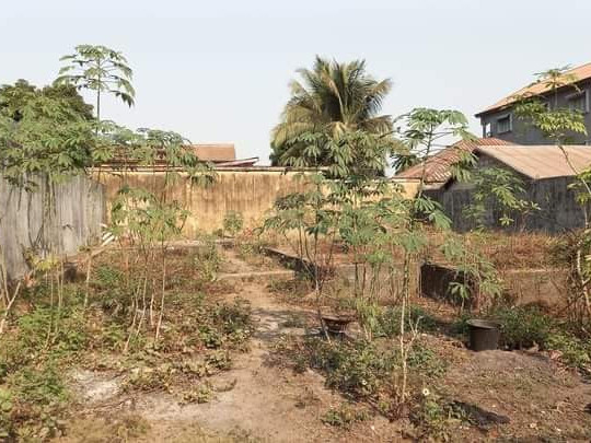 Terrain à Kobayah, Terrains, Conakry