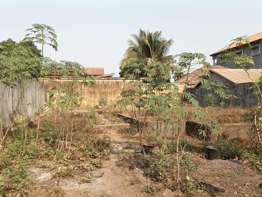 Terrain à Kobayah, Terrains, Conakry