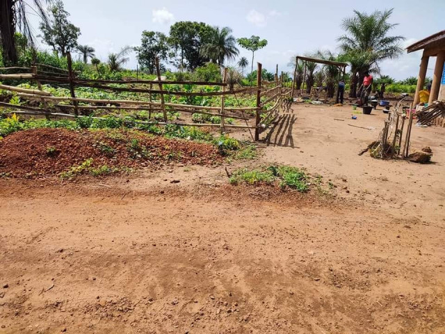 Terrain à Gbantama, Terrains, Conakry