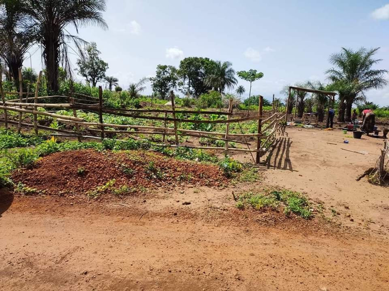 Terrain à Gbantama, Terrains, Conakry