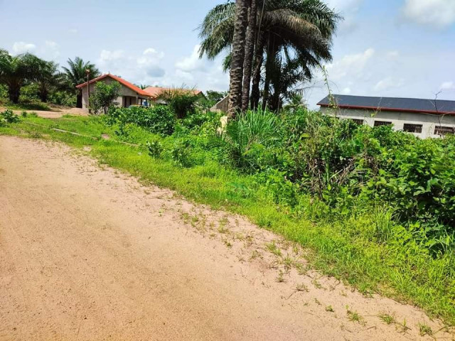 Terrain à Gbantama, Terrains, Conakry