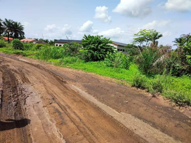 Terrain à Gbantama, Terrains, Conakry