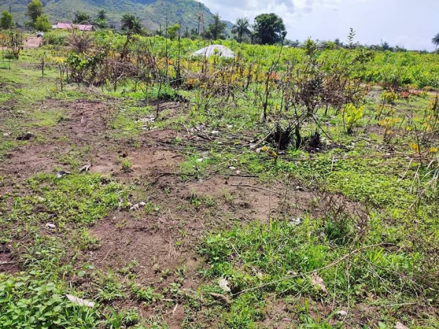 Terrain à Gbantama, Terrains, Conakry