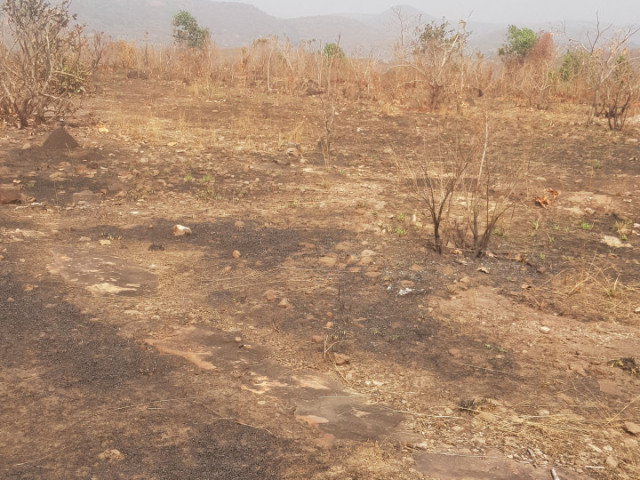 Terrain à Dubreka, Terrains, Conakry