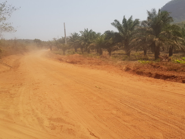 Terrain à Dubreka, Terrains, Conakry