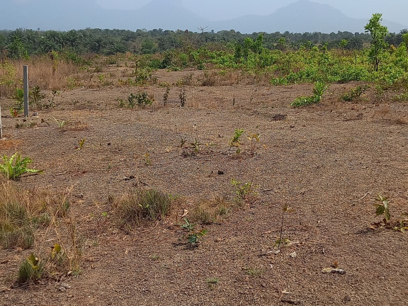 Terrain à Maferenya, Terrains, Conakry