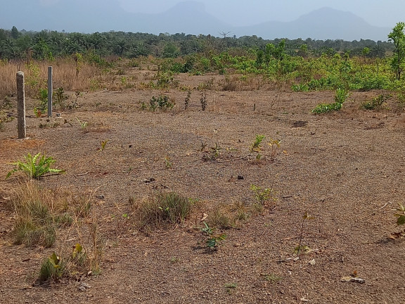 Terrain à Maferenya, Terrains, Conakry