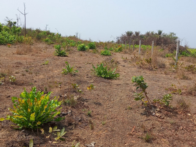 Terrain à Maferenya, Terrains, Conakry
