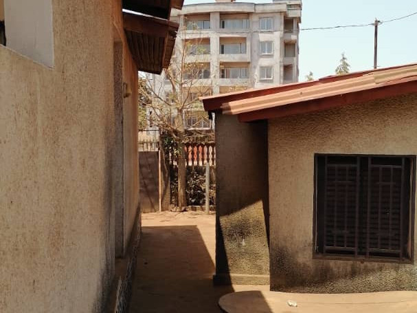Maison à Nongo, Maisons, Conakry