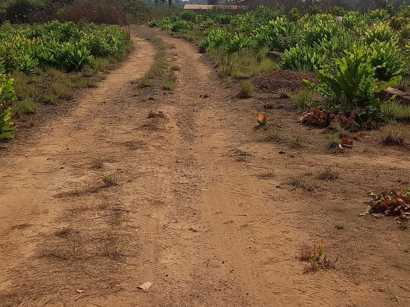 Terrain à Maferenya, Terrains, Conakry