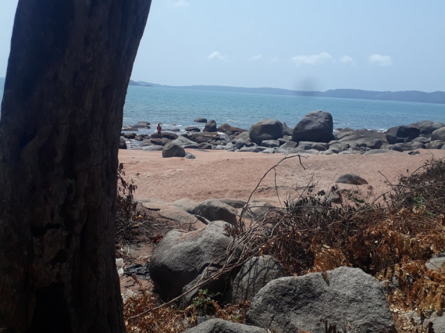 Terrain à Kassa, Terrains, Conakry