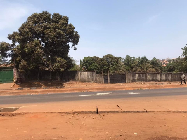 Terrain à Dabompa, Terrains, Conakry