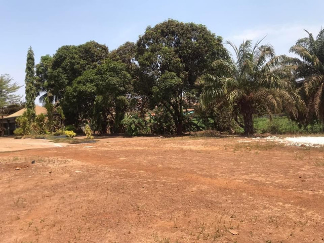 Terrain à Dabompa, Terrains, Conakry
