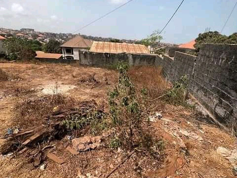 Terrain à Kobaya, Terrains, Conakry