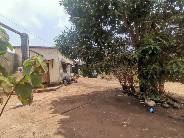 Terrain à Kipé, Terrains, Conakry