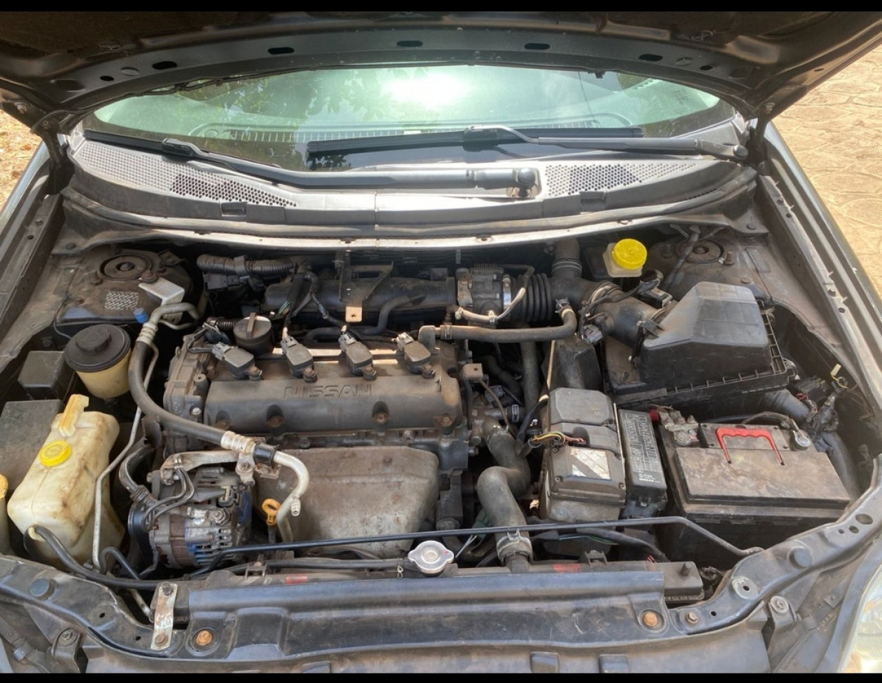 Nissan Primera, Voitures, Conakry