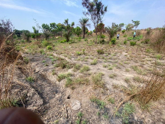 Terrain à Wonkifon, Terrains, Coyah