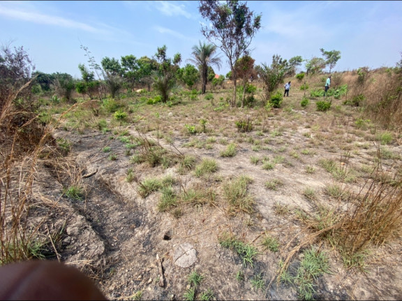 Terrain à Wonkifon, Terrains, Coyah