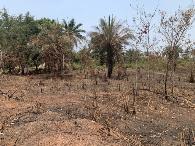 Terrain à Kolibayah, Terrains, Coyah