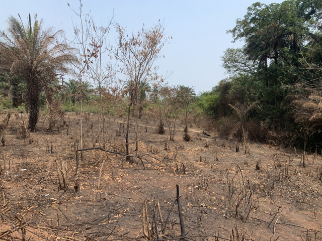 Terrain à Kolibayah, Terrains, Coyah