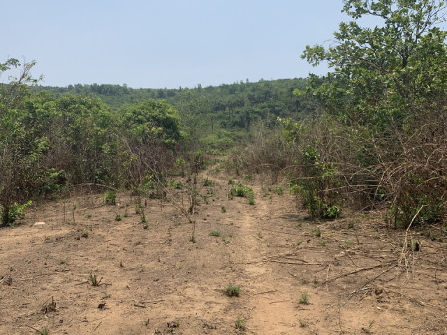 Terrain à Friguiadi, Terrains, Conakry