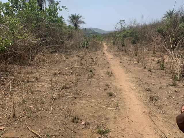 Terrain à Friguiadi, Terrains, Conakry