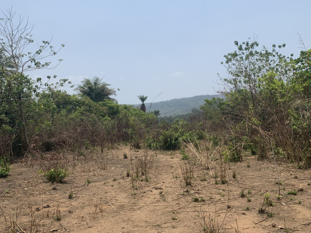 Terrain à Friguiadi, Terrains, Conakry