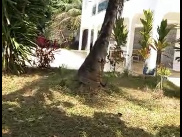 Bâtiment à Taouyah, Maisons, Conakry