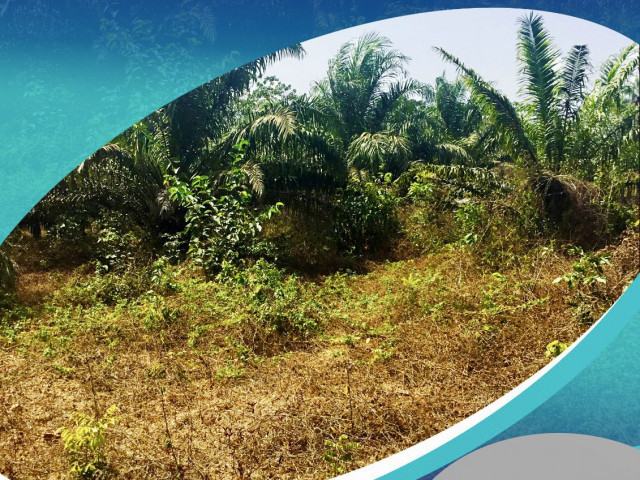 Terrain à Dubreka, Terrains, Conakry