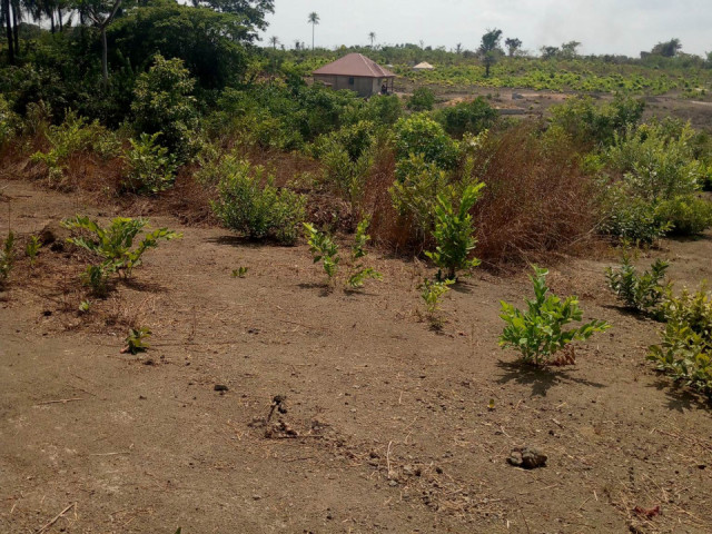 Terrain à Moribayah, Terrains, Coyah