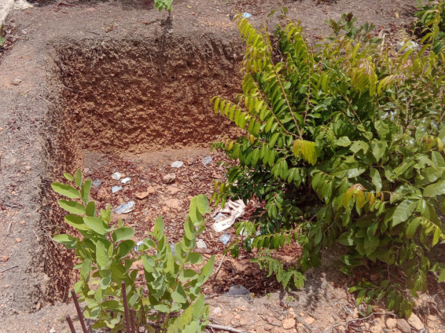 Terrain à Mangata, Terrains, Coyah