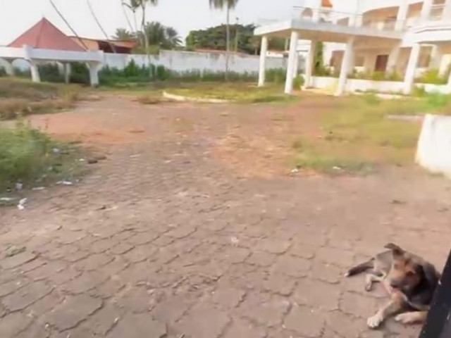 Mini Cité en vente à Taouyah Corniche, Maisons, Conakry