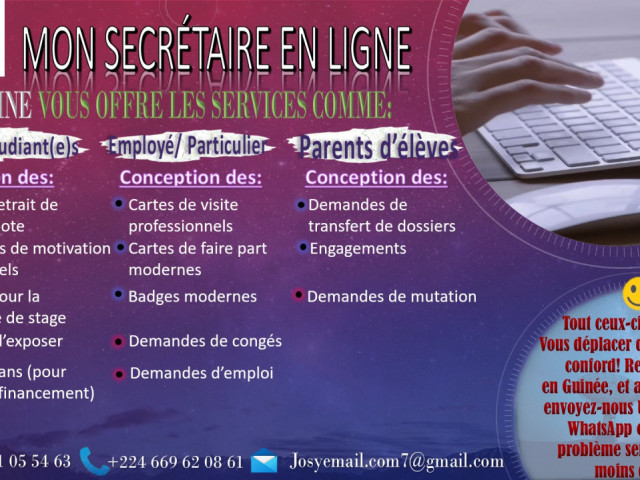 Online Consulting, Autres Services, Conakry