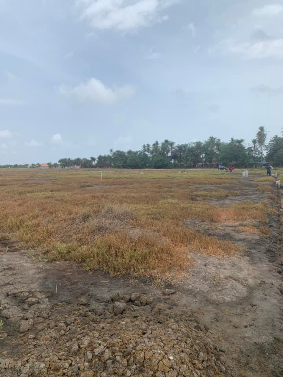 Terrain à Kobayah, Terrains, Conakry