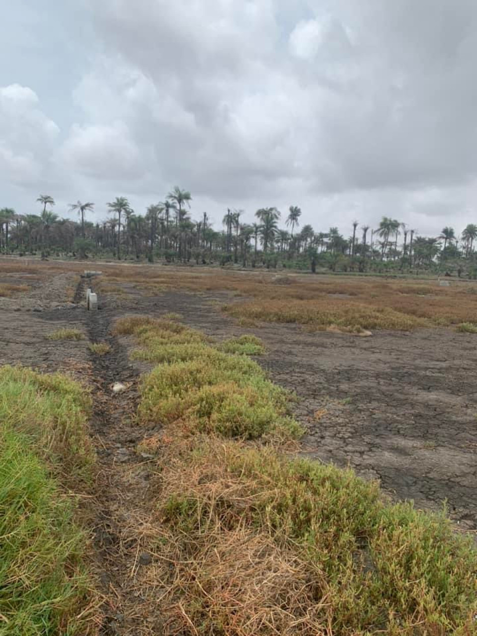 Terrain à Kobayah, Terrains, Conakry
