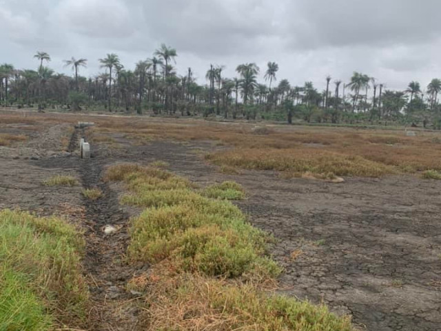 Terrain à Kobayah, Terrains, Conakry