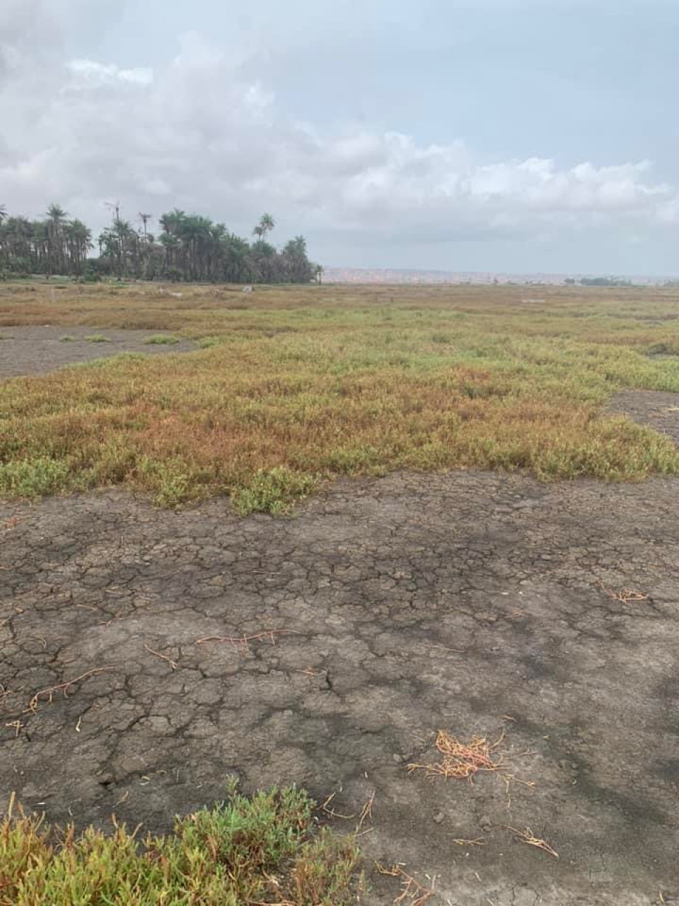 Terrain à Kobayah, Terrains, Conakry