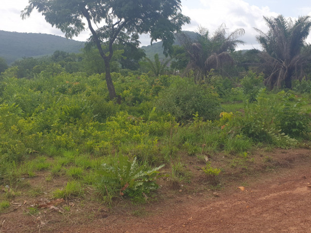 Terrain à Khorira, Terrains, Conakry
