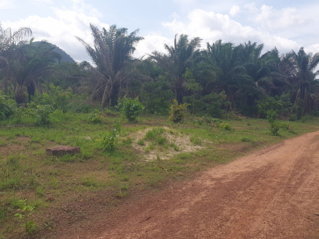 Terrain à Khorira, Terrains, Conakry